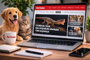 Evcil Hayvan Dünyasının Yeni Haber Sitesi: PetHaber.com.tr Yayında